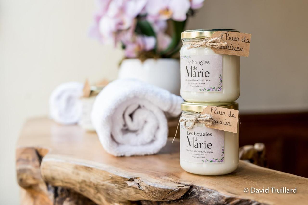 Suite Mana Ohana - Luxe Et Authenticite A 2 Pas De La Place Ducale Avec Parking Prive Charleville-Mézières Exteriér fotografie